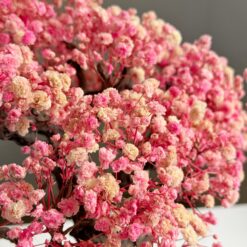 Бонсай сабілізований з квітами гіпсофіли