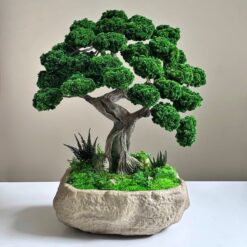 дерево в камне бонсай