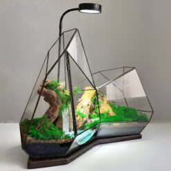 Флораріум Гірський водоспад з мохом та лампою