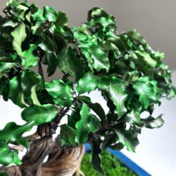 Бонсай из стабилизированных растений