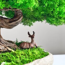 стабілізований бонсай з фігуркою оленя