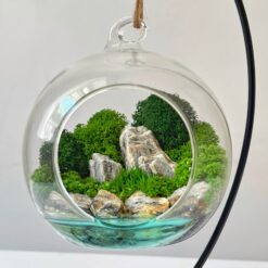 мосаріум з мохом