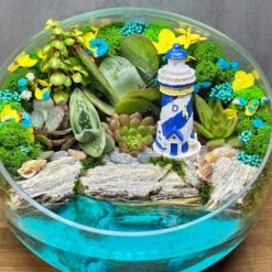 флорариум с суккулентами