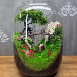 Мосаріум зі стабілізованими рослинами