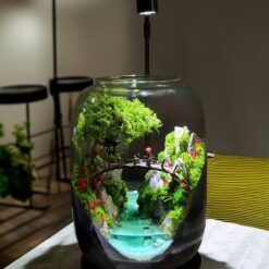 Мосаріум зі стабілізованими рослинами з водоймою та лампою