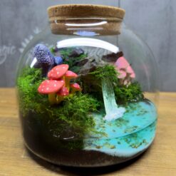 мосариум в стеклянной банке