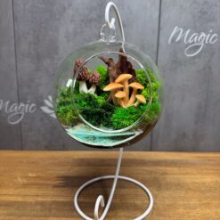 флораріум з мохом та водоймою
