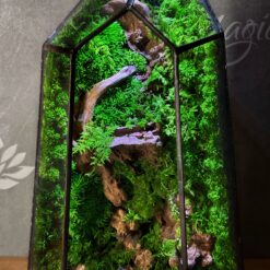 мосаріум з мохом та підсвіткою