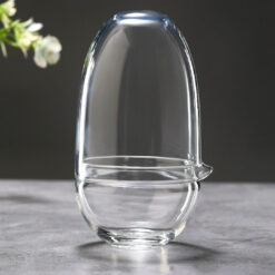 скляна міні теплиця для рослин