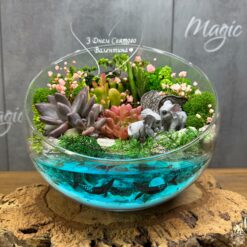 флораріум з сукулентами