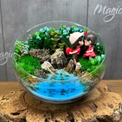 флораріум з сукулентами