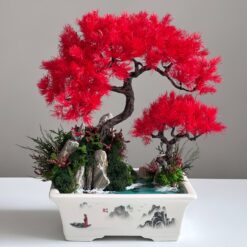 бонсай зі стабілізованих рослин