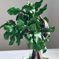 бонсай из стабилизированных растений