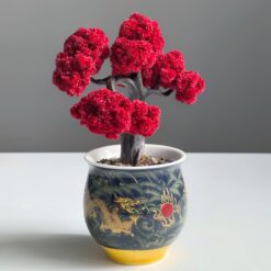 бонсай стабілізований в керамічному горщику