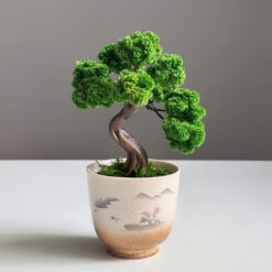 бонсай стабілізований у керамічній бонсайниці
