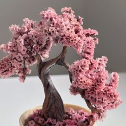 бонсай стабілізований у керамічному горщику